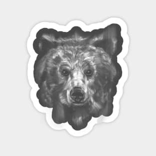 Bear Sticker